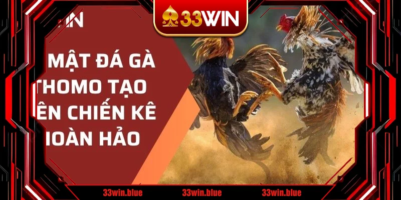 bí mật đá gà Thomo