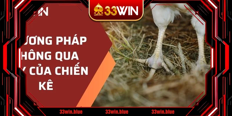Phương pháp thông qua vảy của chiến kê