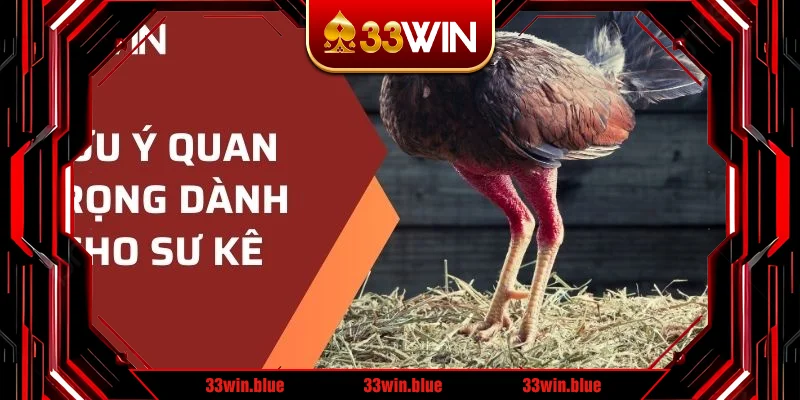 Lưu ý quan trọng dành cho sư kê