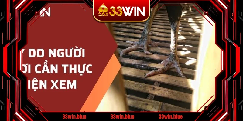 Lý do người chơi cần thực hiện xem