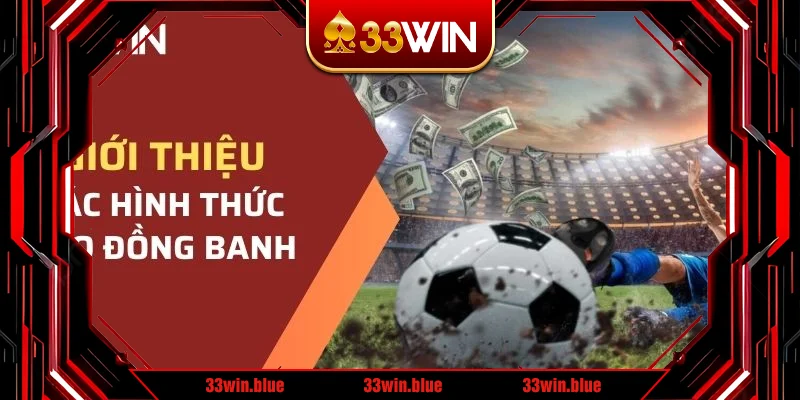 Giải thích đơn giản các loại cược hòa  