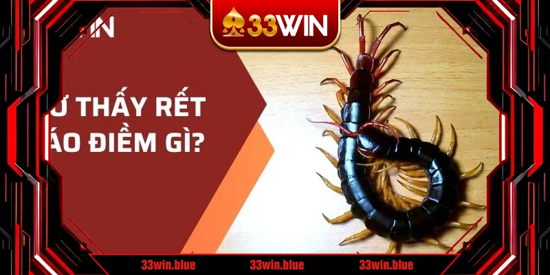 Mơ thấy rết báo điềm gì? Mơ thấy rết báo điềm gì?