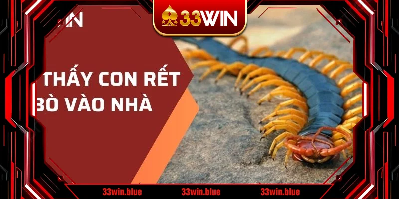 Mơ thấy con rết bò vào nhà Mơ thấy con rết bò vào nhà