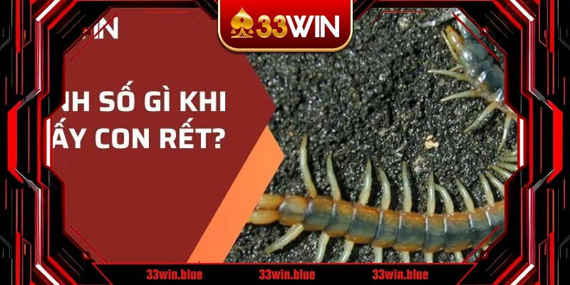 Đánh số gì khi thấy con rết? Đánh số gì khi thấy con rết?