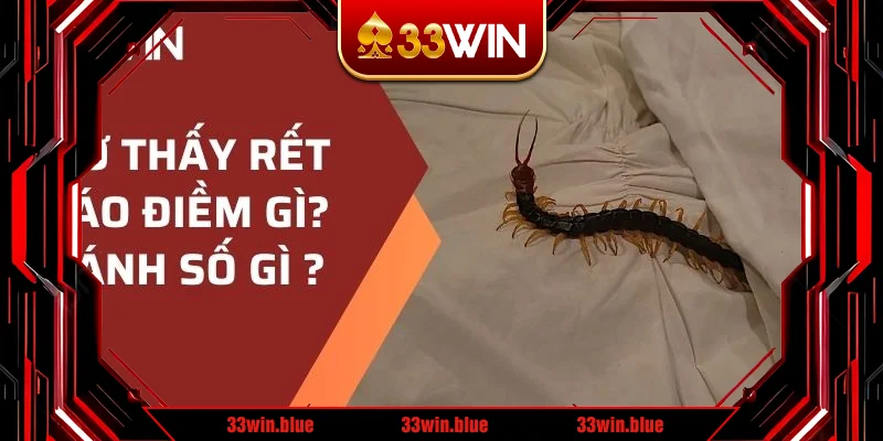 mơ thấy rết