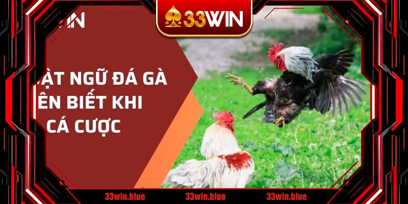 Thuật ngữ đá gà