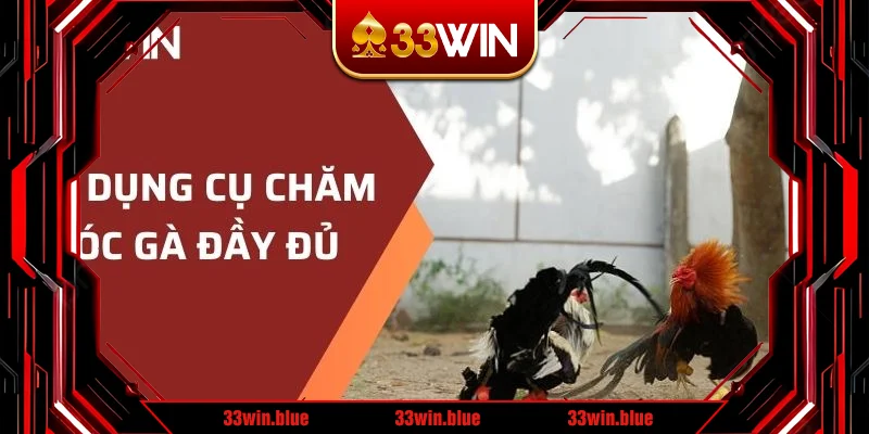 Bộ dụng cụ gà chăm sóc đầy đủ 
