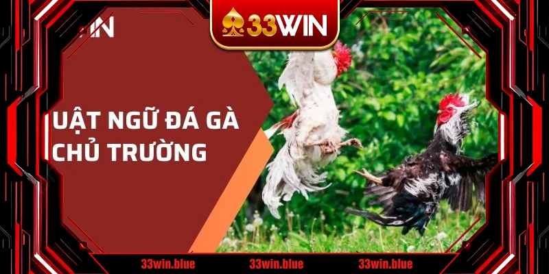 Thuật ngữ đá gà chủ trường 