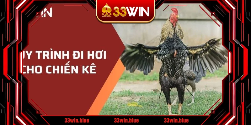 Quy trình đi hơi cho chiến kê 
