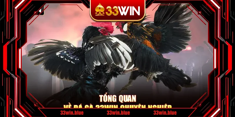 Tổng quan về đá gà 33Win chuyên nghiệp