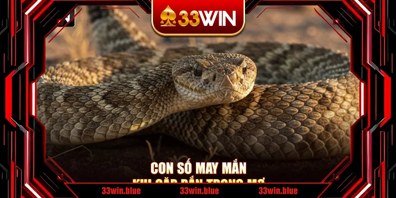 Con số may mắn khi gặp rắn trong mơ