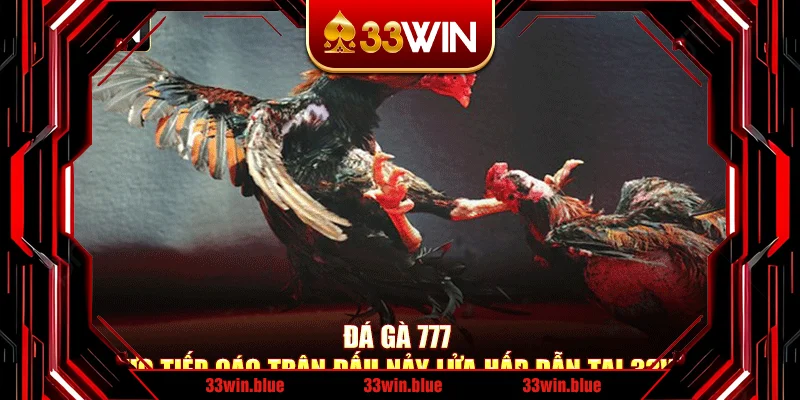 Đá Gà 777 – Trực Tiếp Các Trận Đấu Nảy Lửa Hấp Dẫn Tại 33Win
