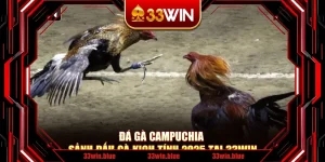 Đá Gà Campuchia – Sảnh Đấu Gà Kịch Tính 2025 Tại 33Win