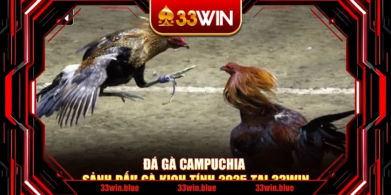 Đá Gà Campuchia – Sảnh Đấu Gà Kịch Tính 2025 Tại 33Win