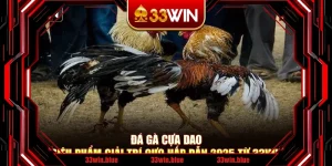 Đá Gà Cựa Dao – Siêu Phẩm Giải Trí Cực Hấp Dẫn 2025 Từ 33Win