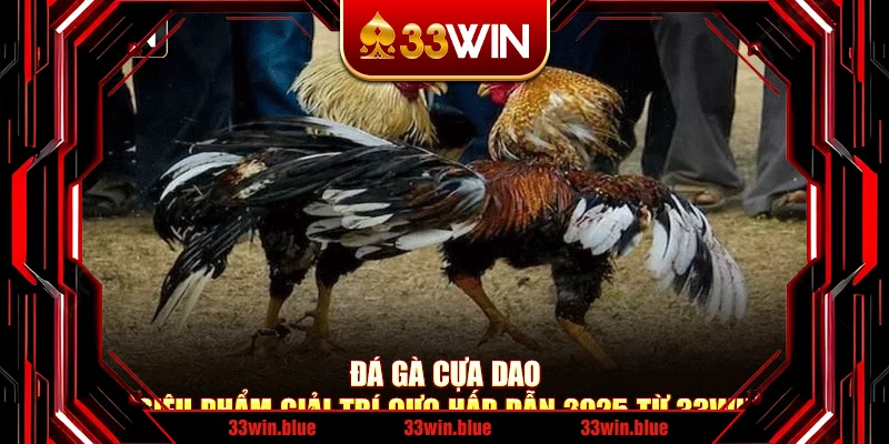 Đá Gà Cựa Dao – Siêu Phẩm Giải Trí Cực Hấp Dẫn 2025 Từ 33Win