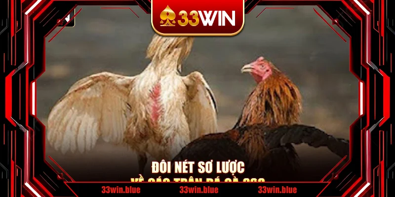 Đôi nét sơ lược về các trận đá gà 888 Đôi nét sơ lược về các trận đá gà 888