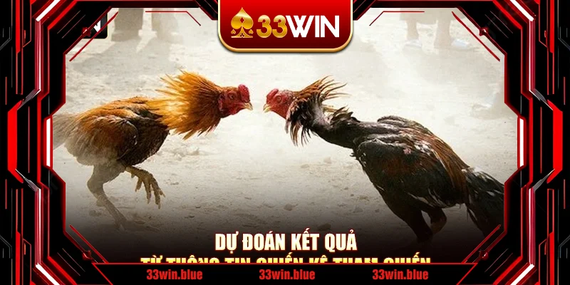 Dự đoán kết quả từ thông tin chiến kê tham chiến