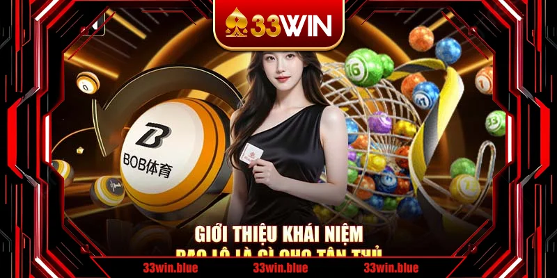 Giới thiệu khái niệm bao lô là gì cho tân thủ