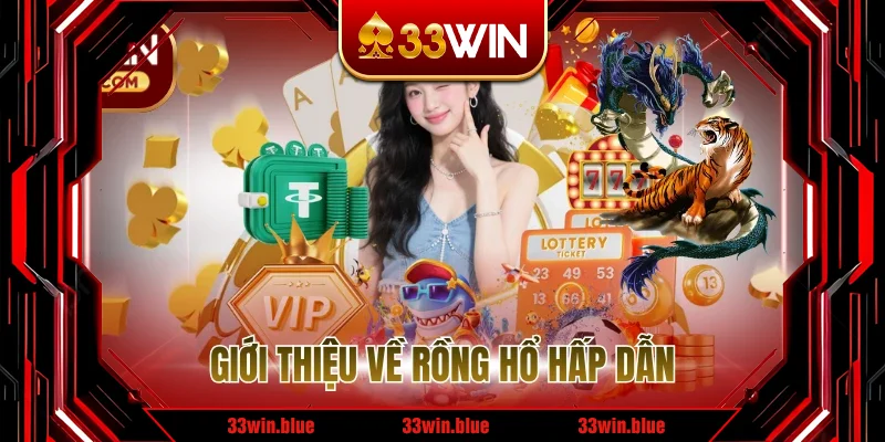 Giới thiệu về rồng hổ hấp dẫn 