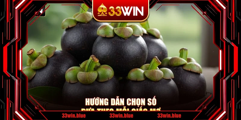 Hướng dẫn chọn số dựa theo mỗi giấc mơ