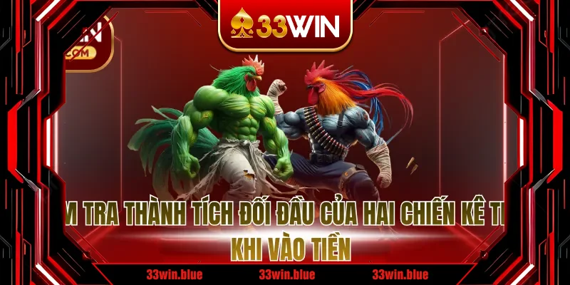 Kiểm tra thành tích đối đầu của hai chiến kê trước khi vào tiền