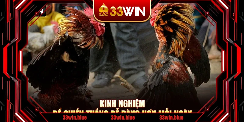 Kinh nghiệm để chiến thắng dễ dàng hơn mỗi ngày