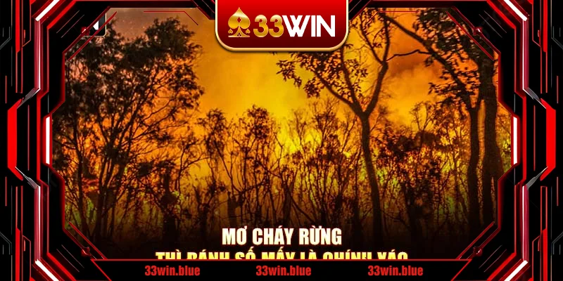 Mơ cháy rừng thì đánh số mấy là chính xác