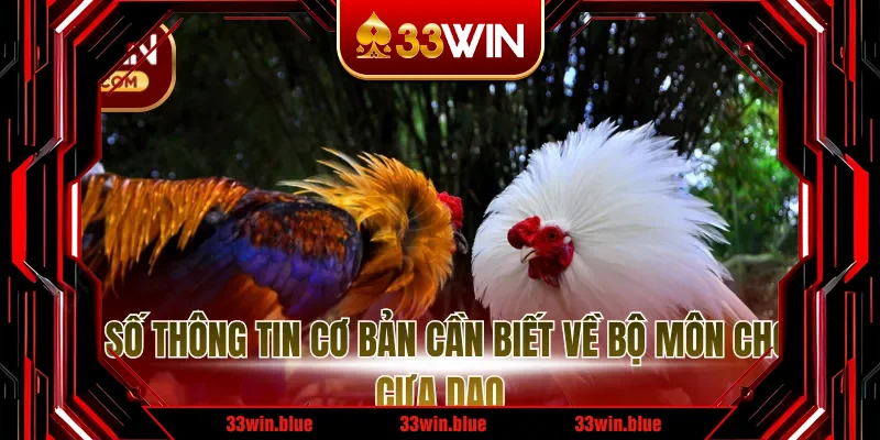 Một số thông tin cơ bản cần biết về bộ môn chọi gà cựa dao