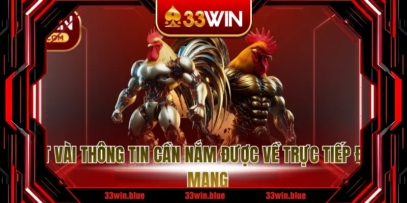 Một vài thông tin cần nắm được về trực tiếp đá gà mạng