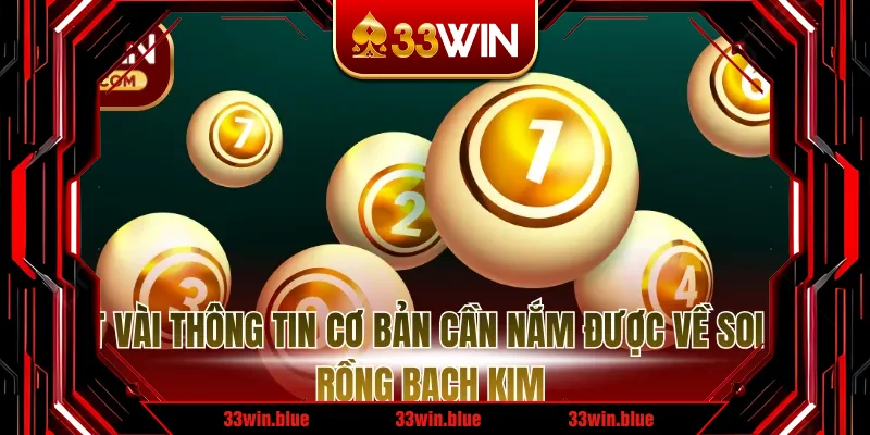 Một vài thông tin cơ bản cần nắm được về soi cầu rồng bạch kim 