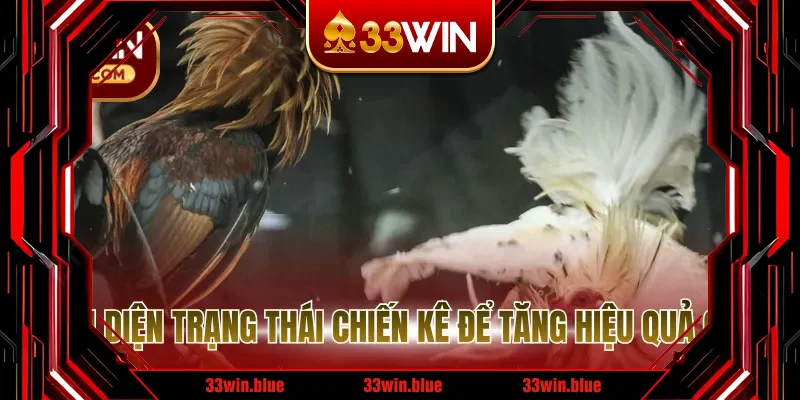 Nhận diện trạng thái chiến kê để tăng hiệu quả cược
