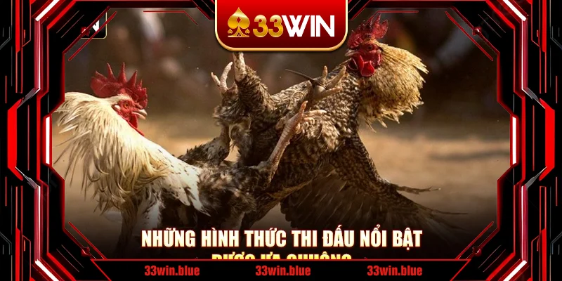 Những hình thức thi đấu nổi bật được ưa chuộng