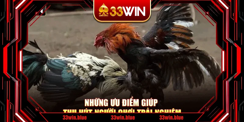 Những ưu điểm giúp thu hút người chơi trải nghiệm