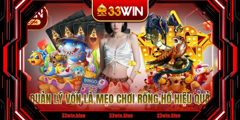 Quản lý vốn là mẹo chơi rồng hổ hiệu quả