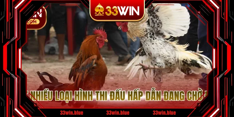 Rất nhiều loại hình thi đấu hấp dẫn đang chờ đón Rất nhiều loại hình thi đấu hấp dẫn đang chờ đón
