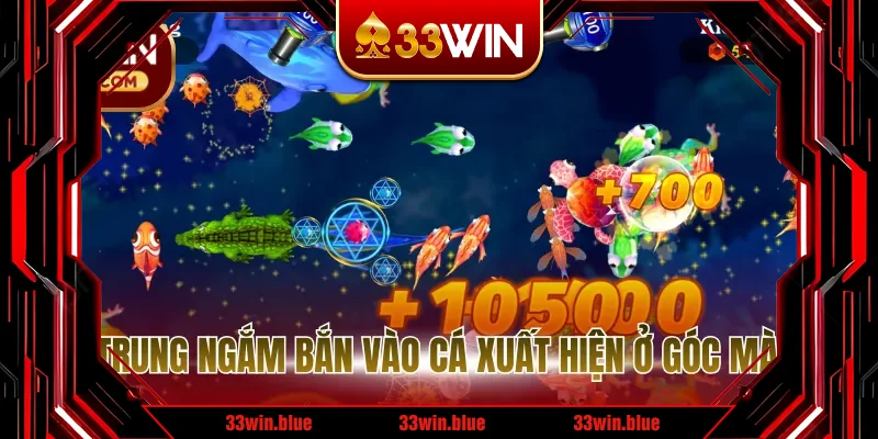 Tập trung ngắm bắn vào cá xuất hiện ở góc màn hình