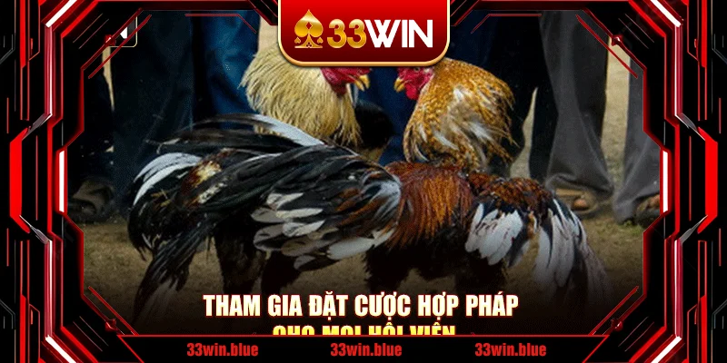 Tham gia đặt cược hợp pháp cho mọi hội viên