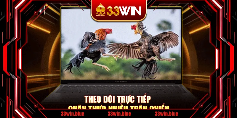 Theo dõi trực tiếp chân thực nhiều trận chiến