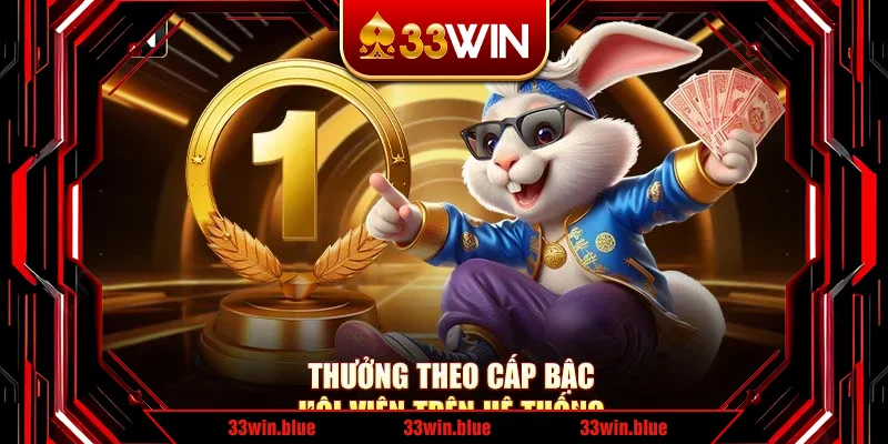 Thưởng theo cấp bậc hội viên trên hệ thống Thưởng theo cấp bậc hội viên trên hệ thống