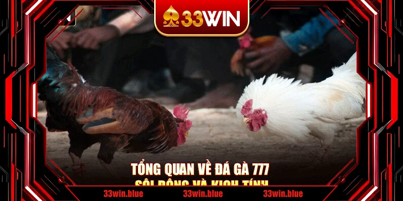 Tổng quan về đá gà 777 sôi động và kịch tính