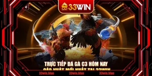 Trực Tiếp Đá Gà C3 Hôm Nay – Cập Nhật Mới Nhất Tại 33Win