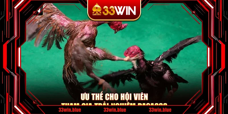 Ưu thế cho hội viên tham gia trải nghiệm daga888 Ưu thế cho hội viên tham gia trải nghiệm daga888